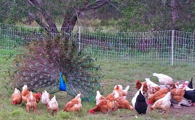 �r�����B��ȸ������ �������B���uȺ�����o��