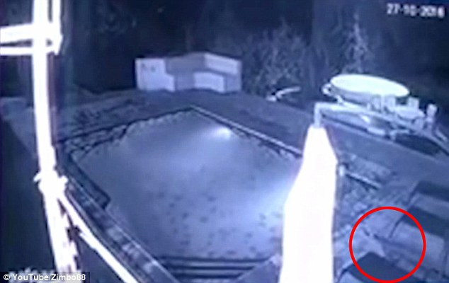 ��ǰ��һ����H�ڷ��޵�һ�g���^��Ӿ��ҹ�Εr��һֻ�{�~ͻȻ���M���g���r����c׃�����Ѫԡ��