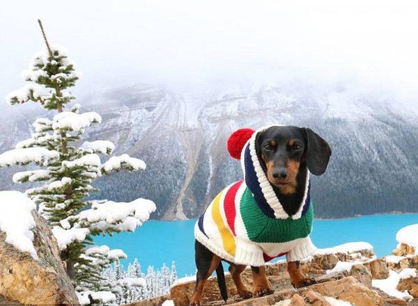 ��Ӣ����ÿ���]�󡷈�������ô�7�q���D�cȮ�������ǂ��W�t�����ڡ�Ę�V�����ѾWվ����140�f���۽z��