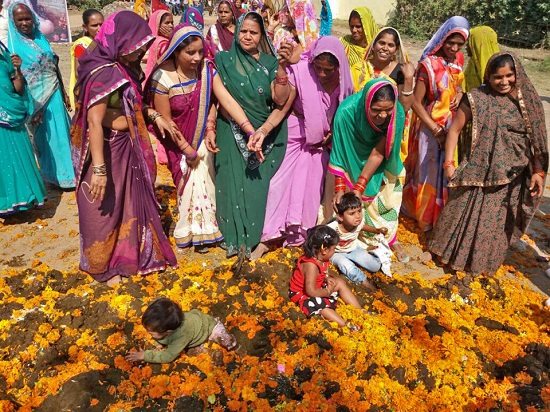 ӡ�ȹ���������y��׌����մţ�S����\���D��