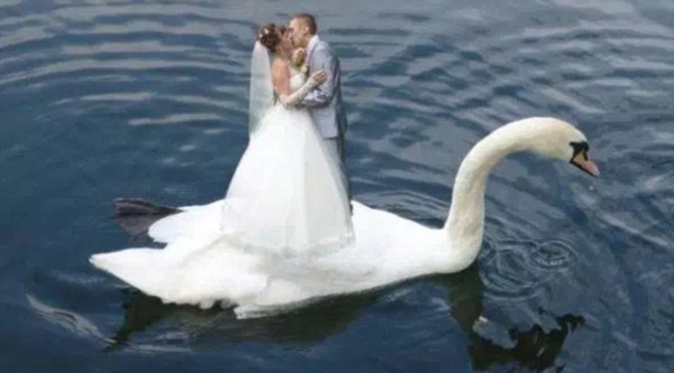 �������鼆�ճ����� �ϳ���Ƭӛ���˼����