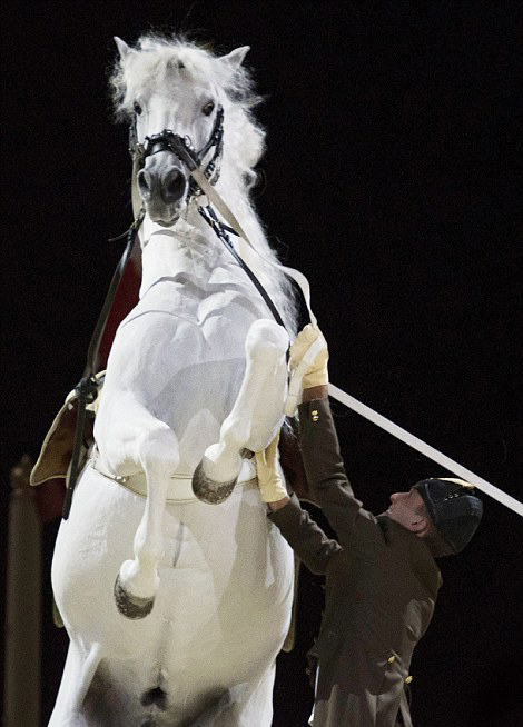 �W����֪���R�g�WԺӢ�����ݿ��л��������@�@