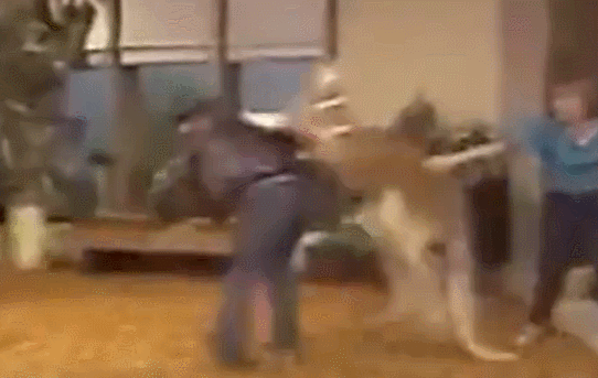 ����׃?n��i)�����һȭKO����