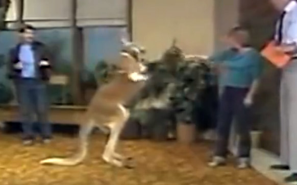 ߀ӛ���ϴ���ֻ���Pʺ�ٴ��ɵĴ���᣿�����ֻ��������������������������׃?n��i)����֣�һȭKO���