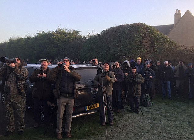 Ӣ��С��F��Ҋ�B�������˼����C�Ĕz