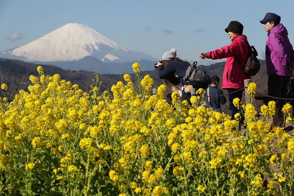 2016�기�����(gu��)�ο͔�(sh��)����(chu��ng)�o(j��)��¸� �Ї�(gu��)�ο����