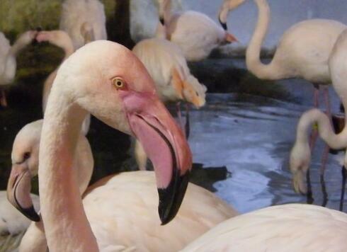 �o��ꡰ���������q��򡱺��o���w�� ֻ�����п���