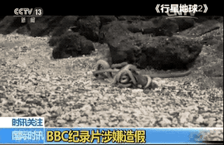 ����(j��)Ӣ��ý�w������@һĻ�Ǻϳɵġ�