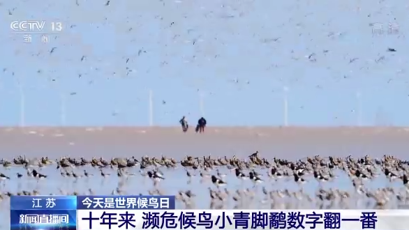 ������B��ح�҇����B�h�����m���� �������B�v�㡰���͡�