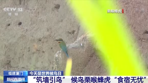 ������B��ح�҇����B�h�����m���� �������B�v�㡰���͡�