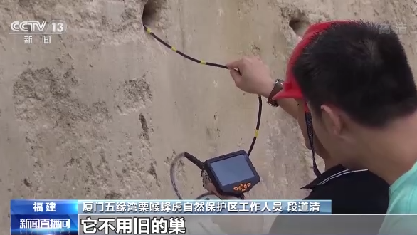 ������B��ح�҇����B�h�����m���� �������B�v�㡰���͡�