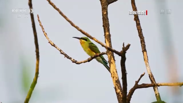 ������B��ح�҇����B�h�����m���� �������B�v�㡰���͡�