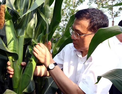 8月6日至9日,中共中央政治局常委、國務院副總理李克強在黑龍江考察。這是8月6日,李克強在位于三江平原的農墾紅興隆分局友誼農場察看萬畝玉米高產示范區,了解莊稼長勢。新華社記者 蘭紅光 攝