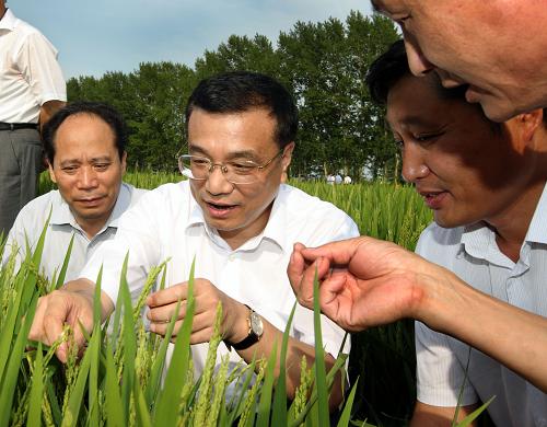 8月6日至9日,中共中央政治局常委、國務院副總理李克強在黑龍江考察。這是8月6日,李克強在位于三江平原的農墾紅興隆分局友誼農場察看水稻示范田,了解莊稼長勢。新華社記者 蘭紅光 攝