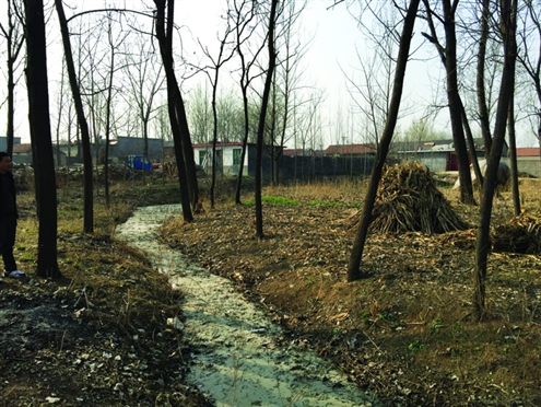 人民日?qǐng)?bào)評(píng)“486名臺(tái)兒莊將士埋骨荒野67載” 人民日?qǐng)?bào)評(píng)“486名臺(tái)兒莊將士埋骨荒野67載”