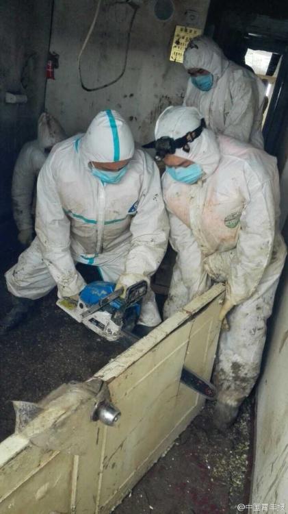 東方之星號遇難者遺物出艙 東方之星號遇難者遺物出艙