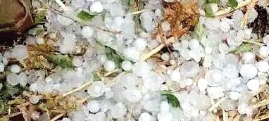 ���h���,�������͵���\