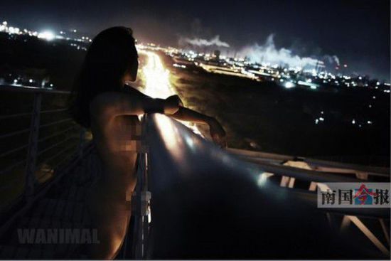 ��¶����ϵ����wˇ�g�ա�ԓ�D���ڱ��^��¶�]�г��F�ڼt��Փ����