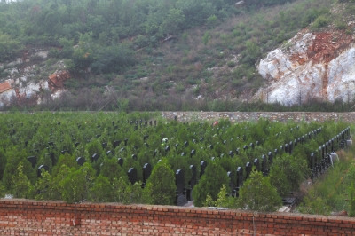 ������ƽһ�Ƿ�Ĺ�ؽ��������ˡ�Ĺ���񡰱�������