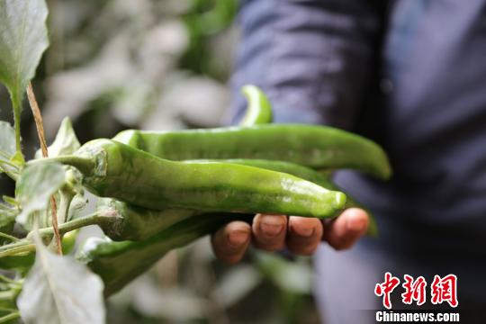 �_ý���߽z�I֮·��֪�����Ļ��ڴ���������