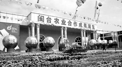 閩農業利用臺資居大陸首位 閩農業利用臺資居大陸首位