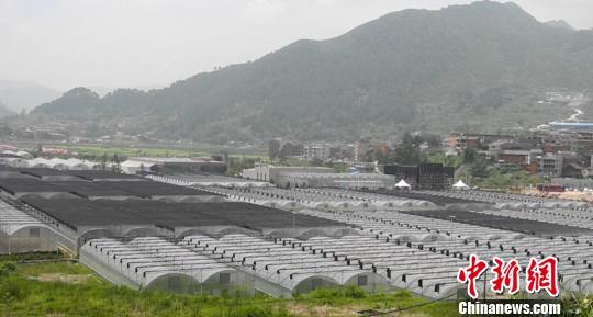 �F�����l���޽ӡ��_���^���r�I��Ѿ�