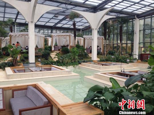 �F�����l���޽ӡ��_���^���r�I��Ѿ�