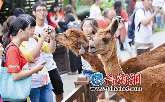 ���50������纣���� ���c�_��50�������g