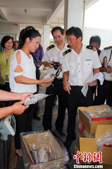 兩岸企業合作開發臺灣虱目魚首批132噸抵東山 兩岸企業合作開發臺灣虱目魚首批132噸抵東山