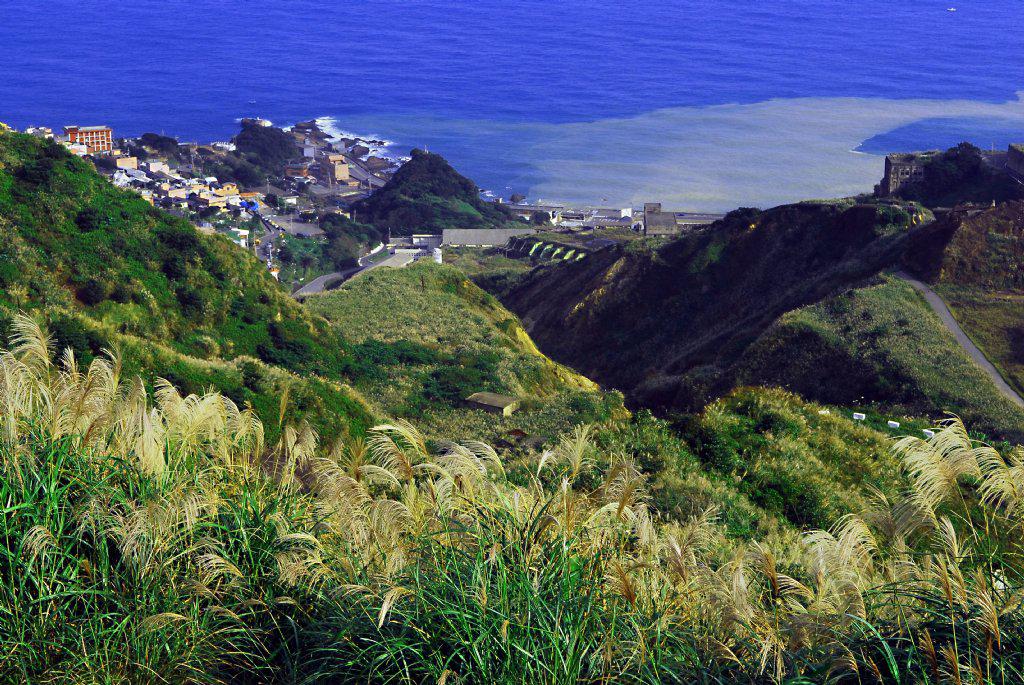 APECС�L(zh��ng)�� ��(l��i)��(ch��ng)�f(shu��)�߾��ߵ��_(t��i)��������