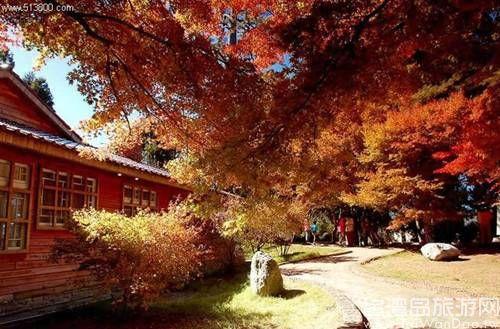 APEC小長假 來場說走就走的臺灣金秋游 APEC小長假 來場說走就走的臺灣金秋游