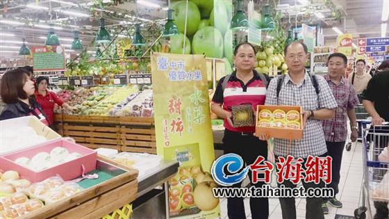 臺中東勢區農會干部:臺農業升級換代需大陸市場(圖) 臺中東勢區農會干部:臺農業升級換代需大陸市場(圖)