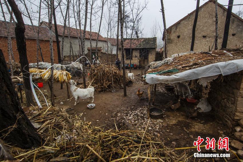 �����h�����������`���z�Ǳ�������Ȧ