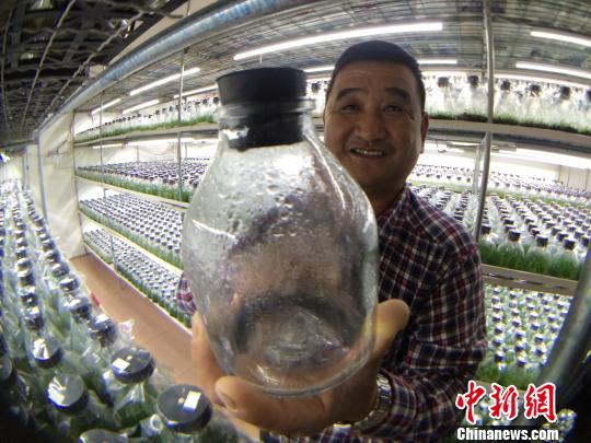 �_(t��i)����ɽ���mʮ���ꡰ늱��硱���o(h��)�`��