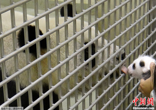 �A�г����r��������С��ҧ��С�ȣ��M�뱣���䯟����һ���º󣬈A�и����F�ڗU�c�A�A�״�Ҋ�档�A���mȻ�۾�߀δ���_���sͻȻ������ǰ�ęڗU���۴�У��·�֪������������ǰ���A�AҲ���Qʾ�⣬���r������^���ÈA�У��ڈ��ı����T��ʾ�����ā�]�� �A�A�@�ӽ��^����