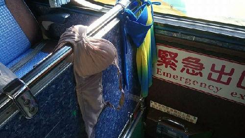 ����ο�ֱ�������[܇��������¡����Y�ψDƬ���_���|ɭ���W��