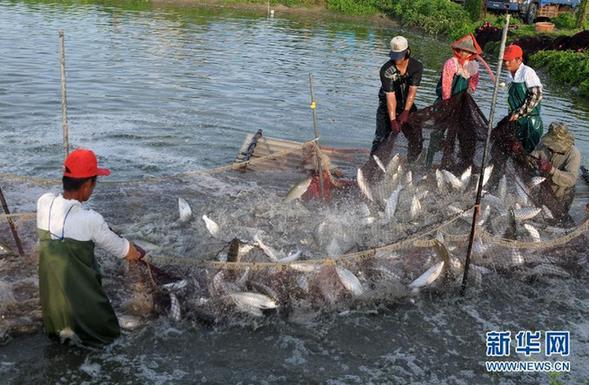 ͬ���y�ַ��_�vʷ��퓡����P�c�ɰ��Pϵ2015�P�I�~