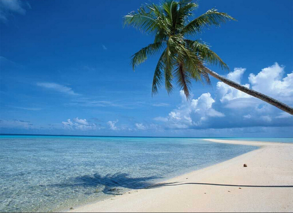 �o�fӭ�����?�����@Щ���������Y�����Ŀ���ٵ�