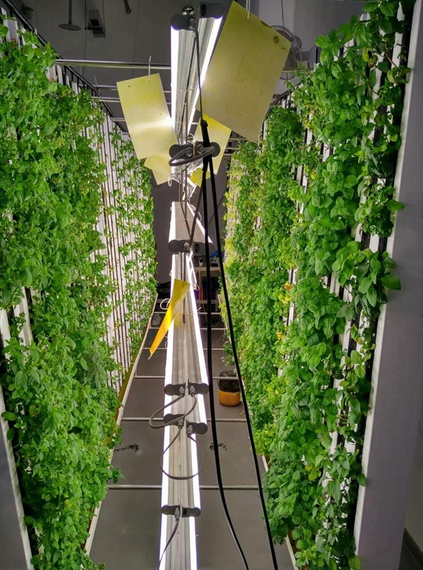 �����ܶ��҃�ֱ���Nֲ�r��