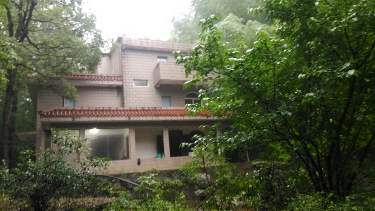 1994�����_�������x�ď]�_���خa��˾ُ�þŽ��Џ]���e��13̖���a