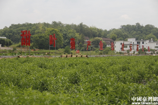 ���R�^�е�Óؚ���¡����ʷ�ؚ���r�������ҳ�·