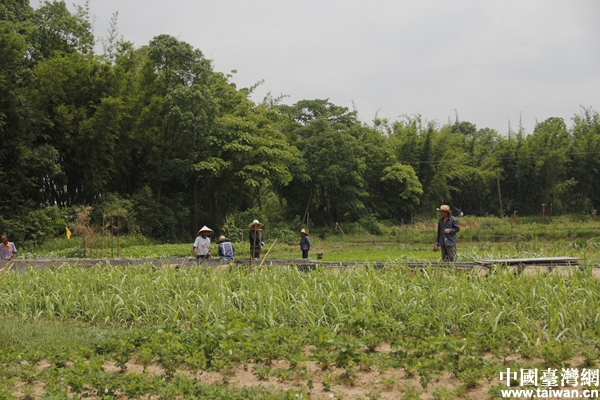 ���R�^�е�Óؚ���¡����ʷ�ؚ���r�������ҳ�·