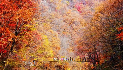 �����{ɫ��