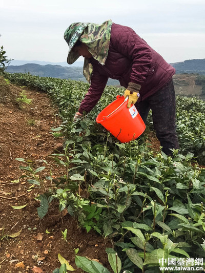 ���L�Fһ�Ѕ��^�����I�����Ї��_���Wӛ�� ���� �z��