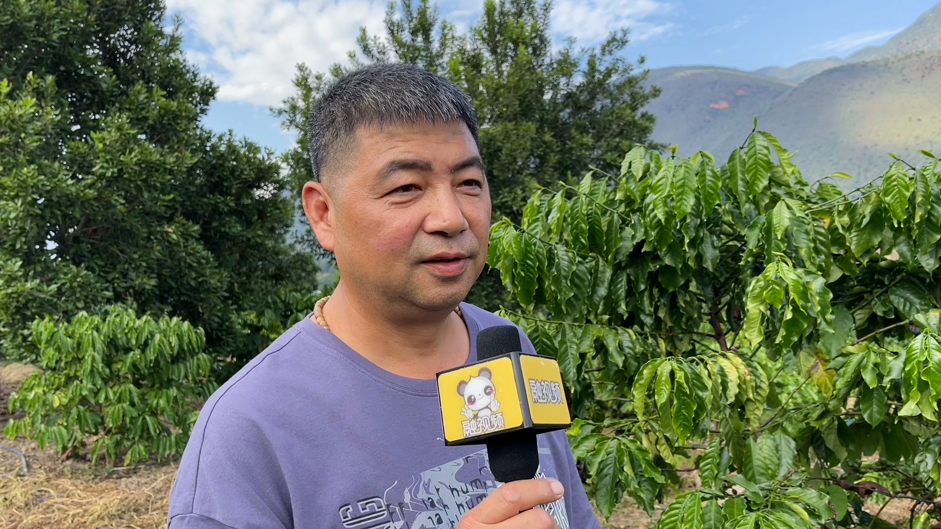 �����_�̅������Ŀ��ȷNֲ֮·�DƬ