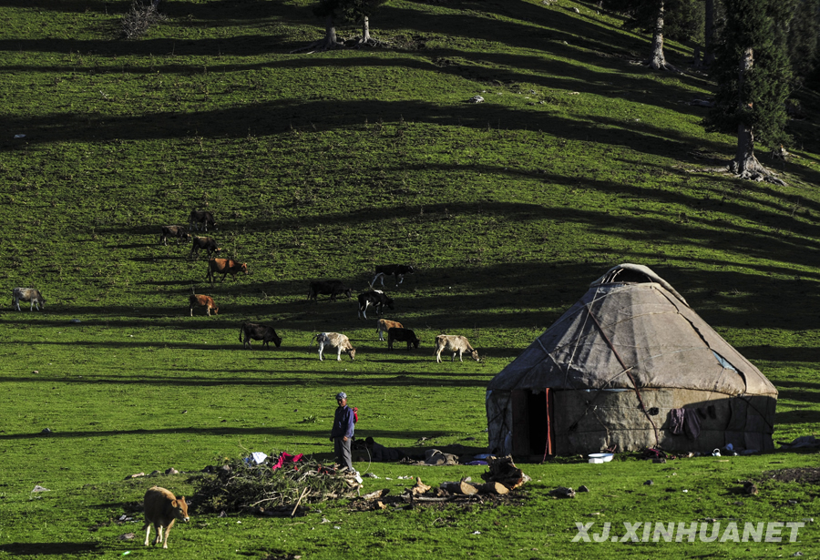 �����½���������ꖹ�a�I�츣����