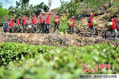 �����˲��������r�ɲ衱�`��Ⱥ��·��