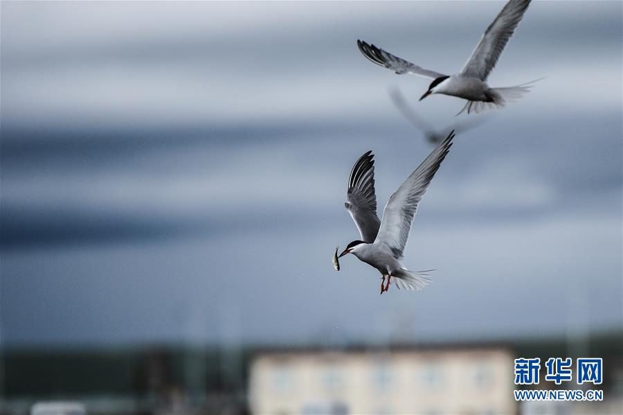 (�D�Ļ���(d��ng))(10)����r(sh��)�������(f��)�d�ĉ������¡������ڡ��Ї�(gu��)��(m��ng)�����������֮�H