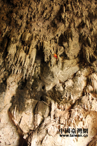 ���Ӷ�ʢ�a(ch��n)��C