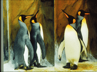 �_������@�������Z